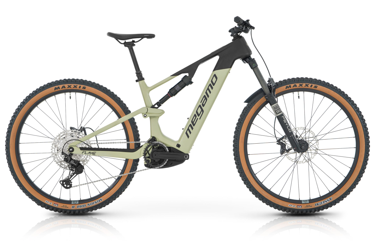  FLAME CRB 10 - SAGE S (26)